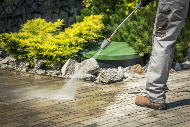 Best Soft Washing for Delicate Surfaces in Bay Village, OH